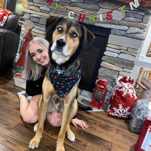 Meet your Posher, Alison - Picture 1 of 1